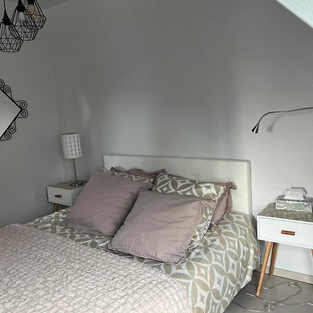 Studio Strasbourg Niederhausbergen Buitenkant foto